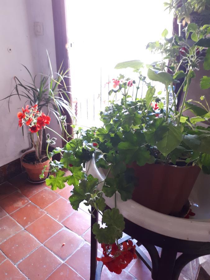 Fonda Del Tozal Hotel Teruel Kültér fotó
